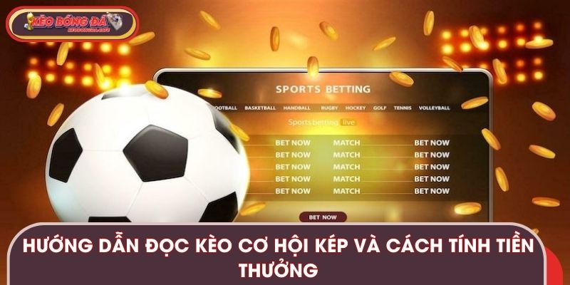 Hướng dẫn đọc kèo cơ hội kép và cách tính tiền thưởng