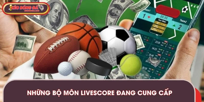 livescore-bo-mon-cung-cap
