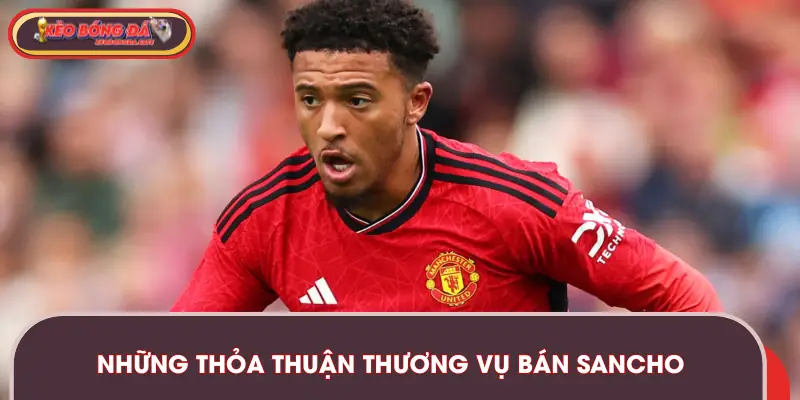 Quy trình từ việc đàm phán đến việc thỏa thuận thương vụ bán Sancho