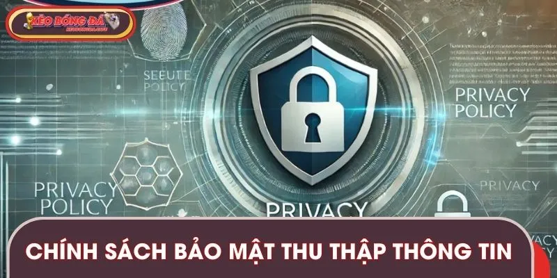 Chi tiết quá trình thu thập dữ liệu và thông tin liên quan
