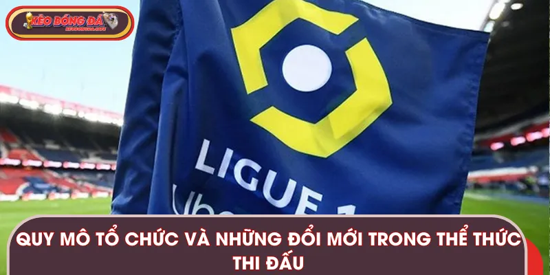 Quy mô tổ chức và những đổi mới của luật thi đấu