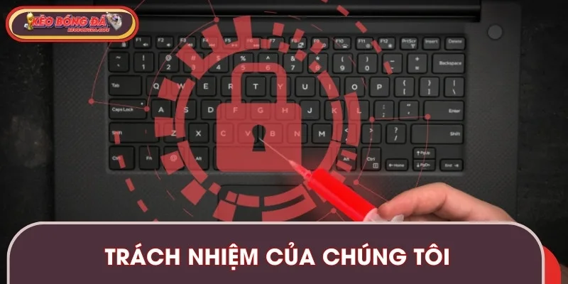 Cam kết bảo mật an toàn từ hệ thống đối với người dùng